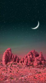 تصویر-زمینه-طبیعت-26.jpg