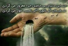 Photo-Posts-Beautiful-14.jpg