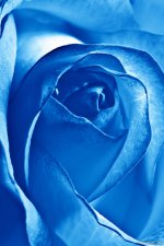 paszamine_com_1265_iPhone_4.jpg