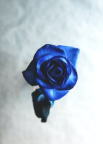 poster_f358897c-4e0b-47fc-84af-ee04a2e1d525.jpeg