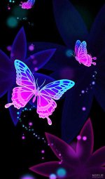 nody-تصویر-زمینه-پروانه-صورتی-1632243632.jpg