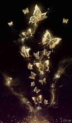 nody-عکس-ترلان-پروانه-در-شب-یلدا-1623718927.jpg