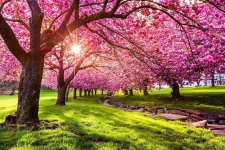 spring-nature-new-6.jpg