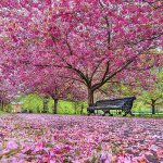 spring1-posters9.jpg