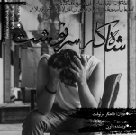 Negar_1689372622460.png