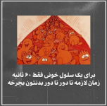 1689586481071.png