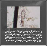 1689586559677.png