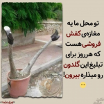 1689586924562.png