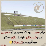 1689587032544.png