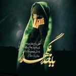 profile-moharam-12-533x533.jpg