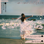 Negar_1690485373889.png