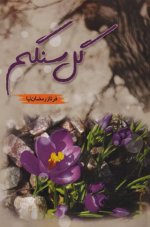 خرید-کتاب-گل-سنگم.jpg
