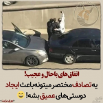 1690615487538.png