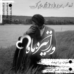 Negar_1691131915277.png