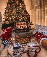 profail-christmas-5.jpg