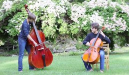 cello-vs-double-bass-131980-NHMioSPH.jpg