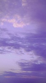 Purple-9.jpg