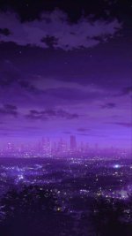 Purple-2.jpg