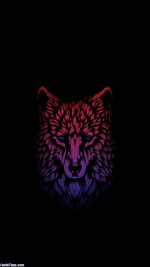 wolf-wallpaper-21.jpg