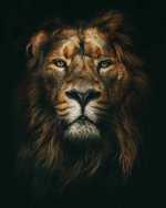 پروفایل-پسرانه-خفن-39.jpg
