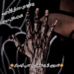 IMG_۲۰۲۳۱۰۲۱_۰۸۲۴۴۱.jpg
