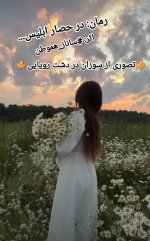 IMG_۲۰۲۳۱۱۰۳_۰۸۵۶۱۵.jpg