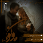 Negar_1699902972972.png