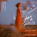 Negar_1700220744535 (1).png
