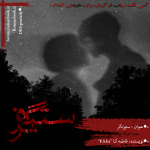 Negar_1701547515044.png