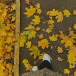 IMG_20231208_133002_877.jpg