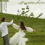 Negar_1702382347300.png