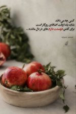 IMG_20231222_171413_875.jpg