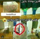 183981516-parsnaz-com.jpg