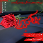 Negar_1704615644898.png Negar_1704615644898.png