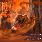 Negar_1705306387934.png