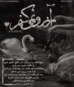 Negar_1706261461301.png