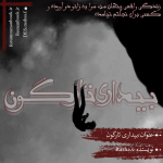 Negar_1707569076342.png