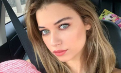 1708436585338.png