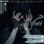 Negar_1708676035224.png