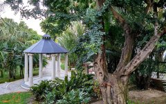 Botanical-Gardens.jpg