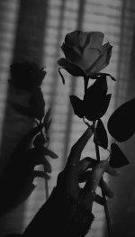 3f278b1ef6b45bed80b543aae5fe7318.jpg