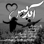 Negar_1710487393402.png