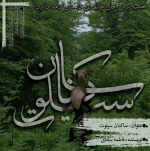 Negar_1711057683082.png