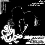 Negar_1712511202362.png Negar_1712511202362.png