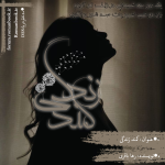 Negar_1713038474025.png
