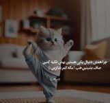 IMG_20240424_024101_240.jpg