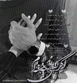 Negar_1714767317741.png
