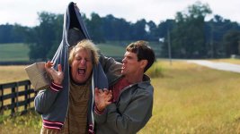 dumb-and-dumber-movie.jpg