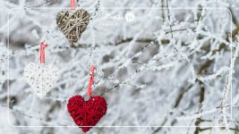 عکاسی-از-تزئینات-درخت-کریسمس-در-برف.jpg