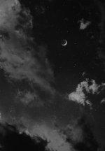 gif (30).jpg